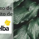 Selba Solutions confía en SAP Business One e Intarex